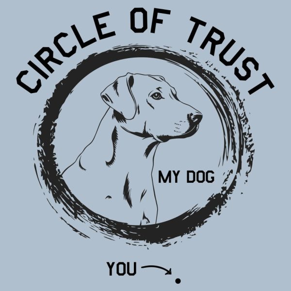 Circle Of Trust Standard Tee Light Blue - Image 2
