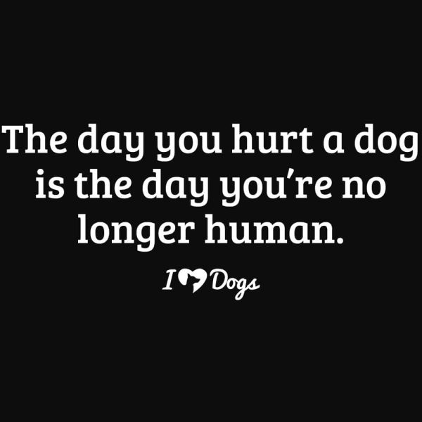 The Day You Hurt A Dog? Standard Tee Black - Image 2